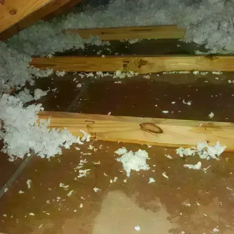 Attic Water Damage in Hockinson, WA